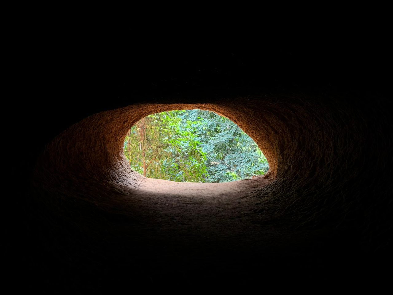 L'entrée des Dents : la bouche de la grotte, vue de l'intérieur, ouverte sur la forêt